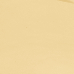 Navy/Gold