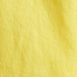 Lemon Daffodil