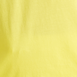 Lemon Daffodil