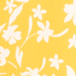 Summer Lemon/Colonial Cre