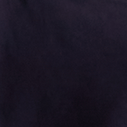 Lauren Navy