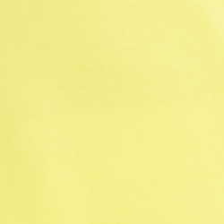 Lemon Daffodil