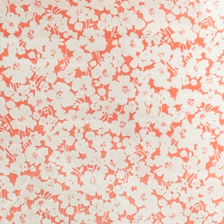 Island Hibiscus/White