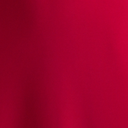 Modern Dahlia