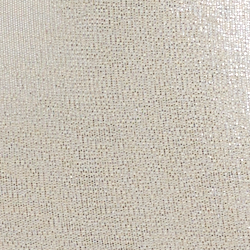 Champagne/Silver