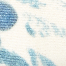 Blue/White