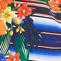 Floral Travel Serape