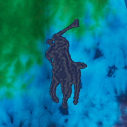 Polo Tie Dye