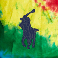 Polo Tie Dye