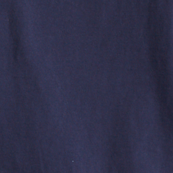 Cruise Navy