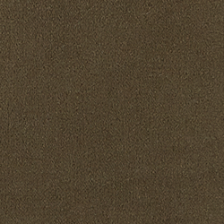 Company Olive