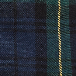Navy/Black/Green/Yellow