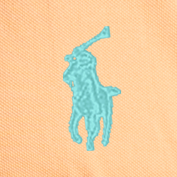 Orange Flash/C41Ant