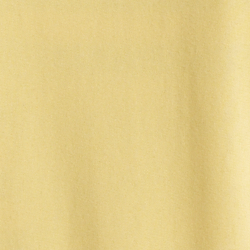 Autumn Yellow