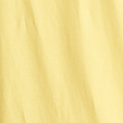 Autumn Yellow