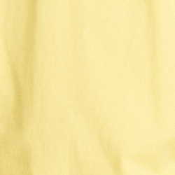 Autumn Yellow