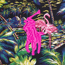 Flamingo Tropical