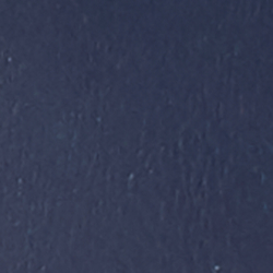 Navy/Surfer Bear