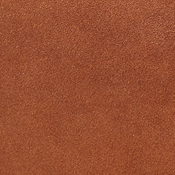 Cinnamon