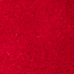 Salsa