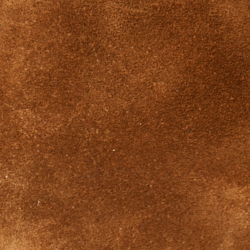 Cinnamon