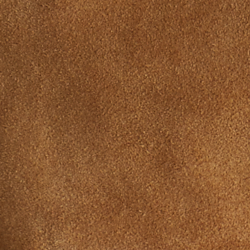 Dark Beige