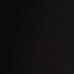 Polo Black