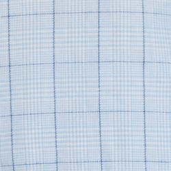 Blue Plaid