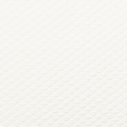 Classic Cream