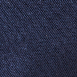 Newport Navy/Windsurfer