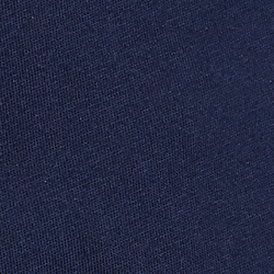 Cruise Navy