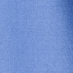 Bastille Blue