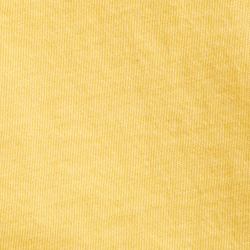 Fall Yellow
