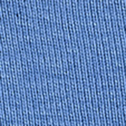 Bastille Blue