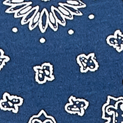 Navy Print