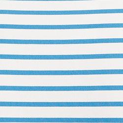 Blue/White