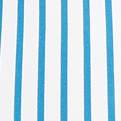 Blue/White