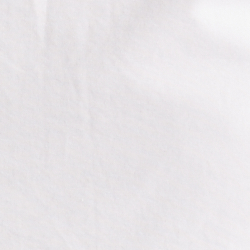 White Bear