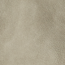 Light Grey/Classic Cream