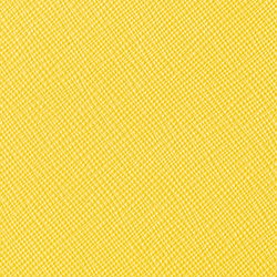 Canary Yellow