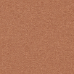 Nude/Vanilla