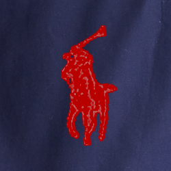 Cruise Navy
