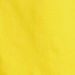 Slicker Yellow