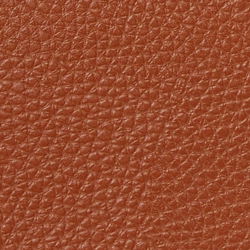 Lauren Tan/Orange