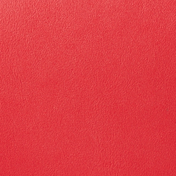 Red/Lauren Navy