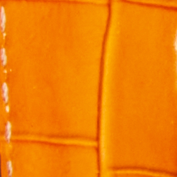 Persimmon