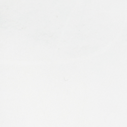 White Patent