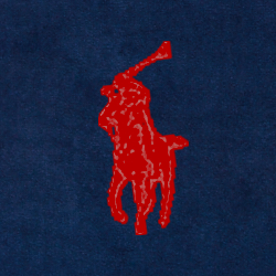French Navy