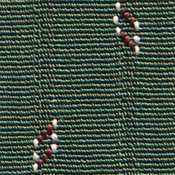 Green/Black Multi