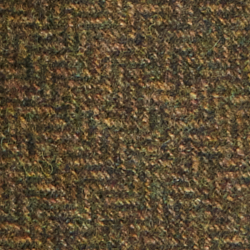 Olive/Brown